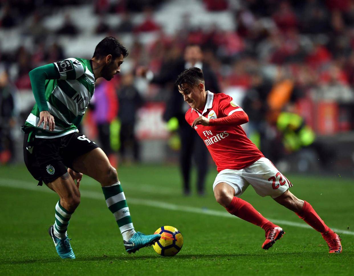 赛地聚焦：葡超赛后热度飙升，广东宏远造点机会，赛场秩序良好，球队文化再被提及的简单介绍